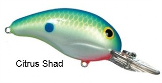 Crankbait 200 Series Fishing 1/4 oz. 2"