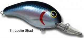 Crankbait 200 Series Fishing 1/4 oz. 2"