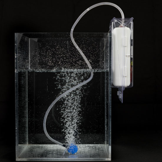 Marine Metal Bubble Box-2 D Batteries Required