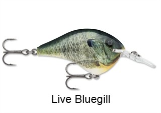 Rapala DT08 (Dives-To) Series