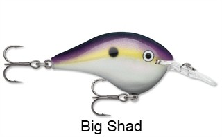 Rapala DT08 (Dives-To) Series