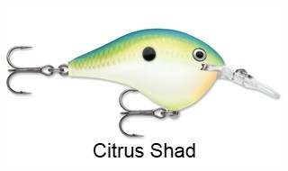 Rapala DT08 (Dives-To) Series