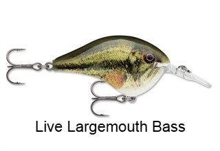 Rapala DT08 (Dives-To) Series