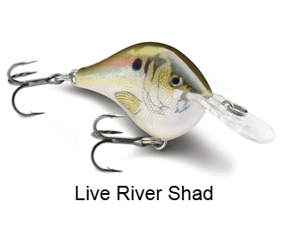 Rapala DT08 (Dives-To) Series