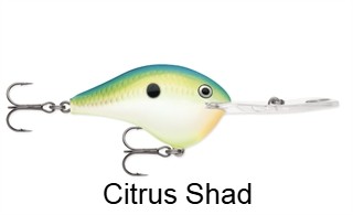 Rapala DT20 Metal 20