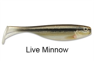 Storm Largo Shad Paddle Tail Swimbait