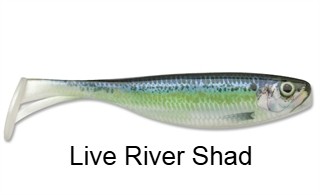 Storm Largo Shad Paddle Tail Swimbait