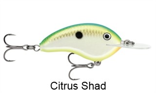 Rapala Ott's Garage Deep Tiny 07 Crankbait