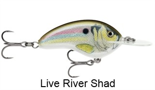 Rapala Ott's Garage Deep Tiny 07 Crankbait