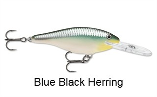 Rapala Shad Rap