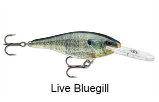 Rapala Shad Rap
