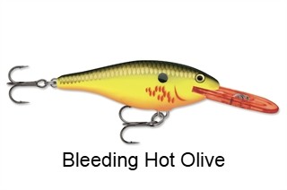 Rapala Shad Rap