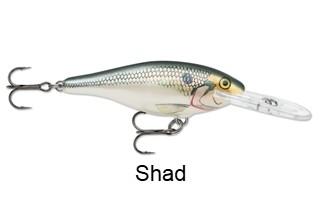 Rapala Shad Rap