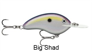 Rapala Ott's Garage Deep Tiny 07 Crankbait