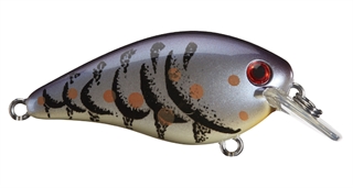 Strike King KVD Square Bill 1.5 Silent Crankbait